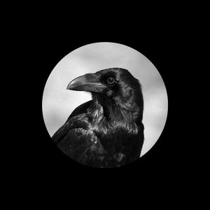 日本熟妇内谢69XXXXXA片
